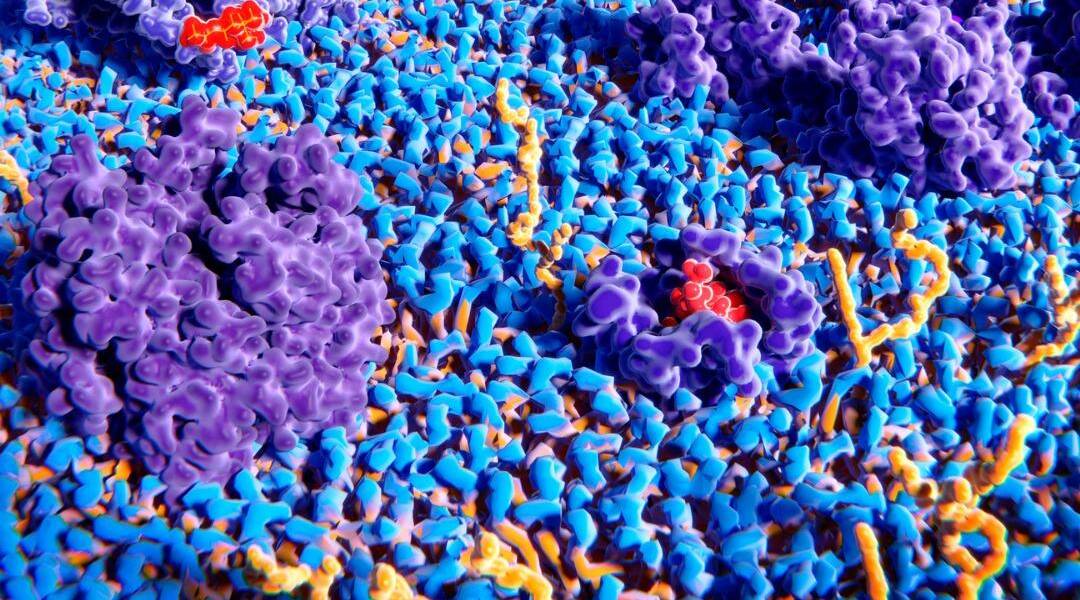 Endorfin Hormonu Nedir? Ne İşe Yarar? Endorfin Hormonu ve Psikoloji
